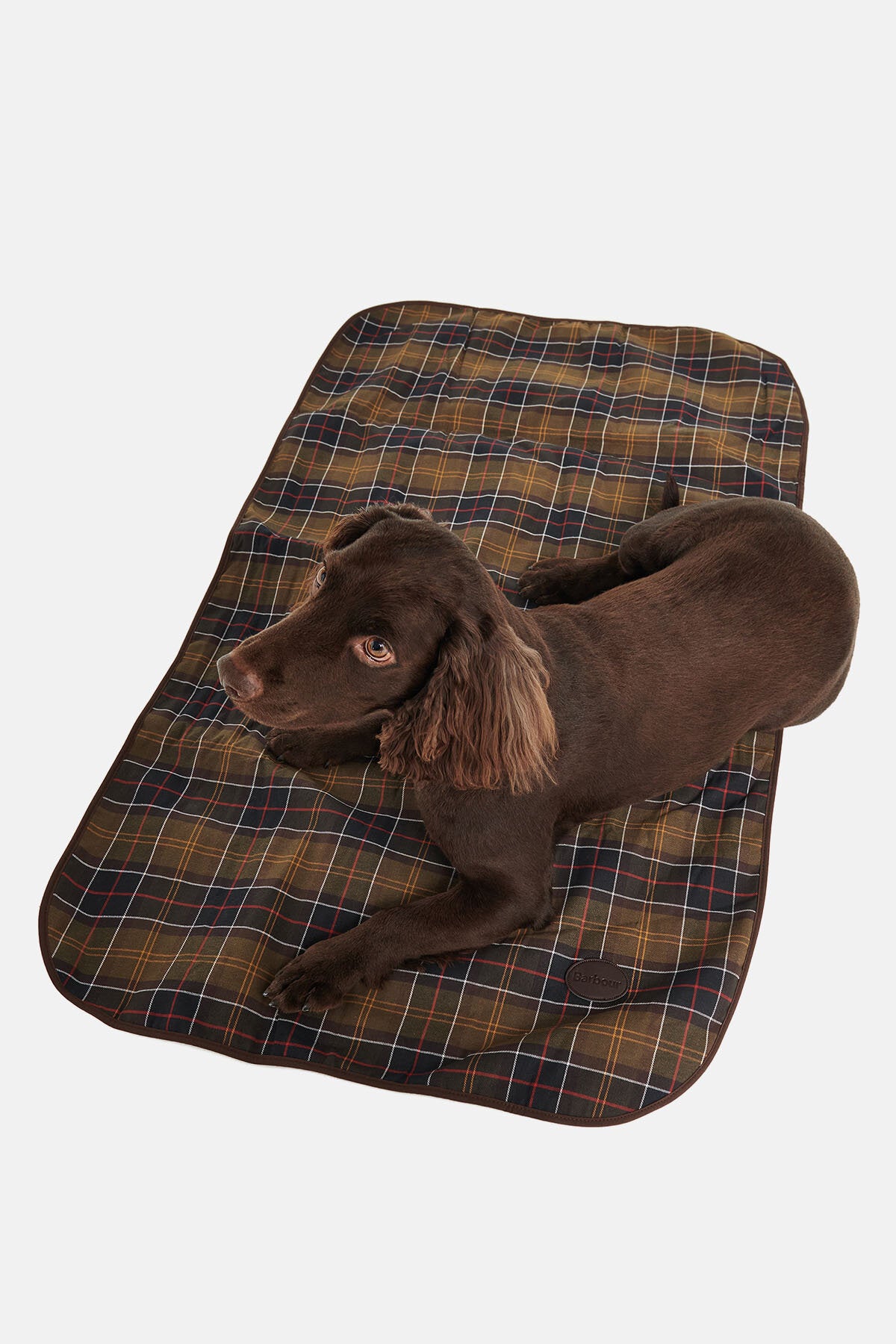 Barbour discount dog blanket