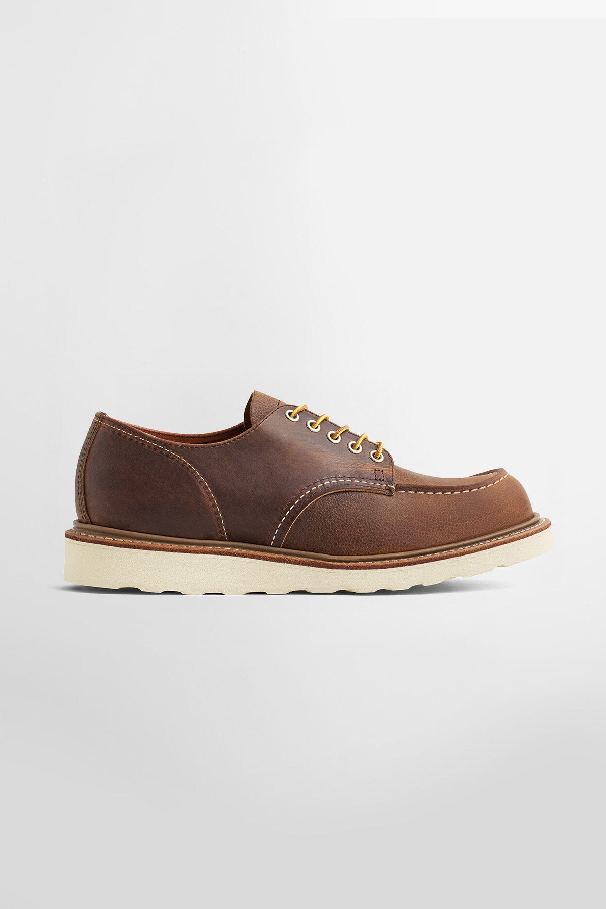 04603REDWING_COPPERRE_WPS_10_1