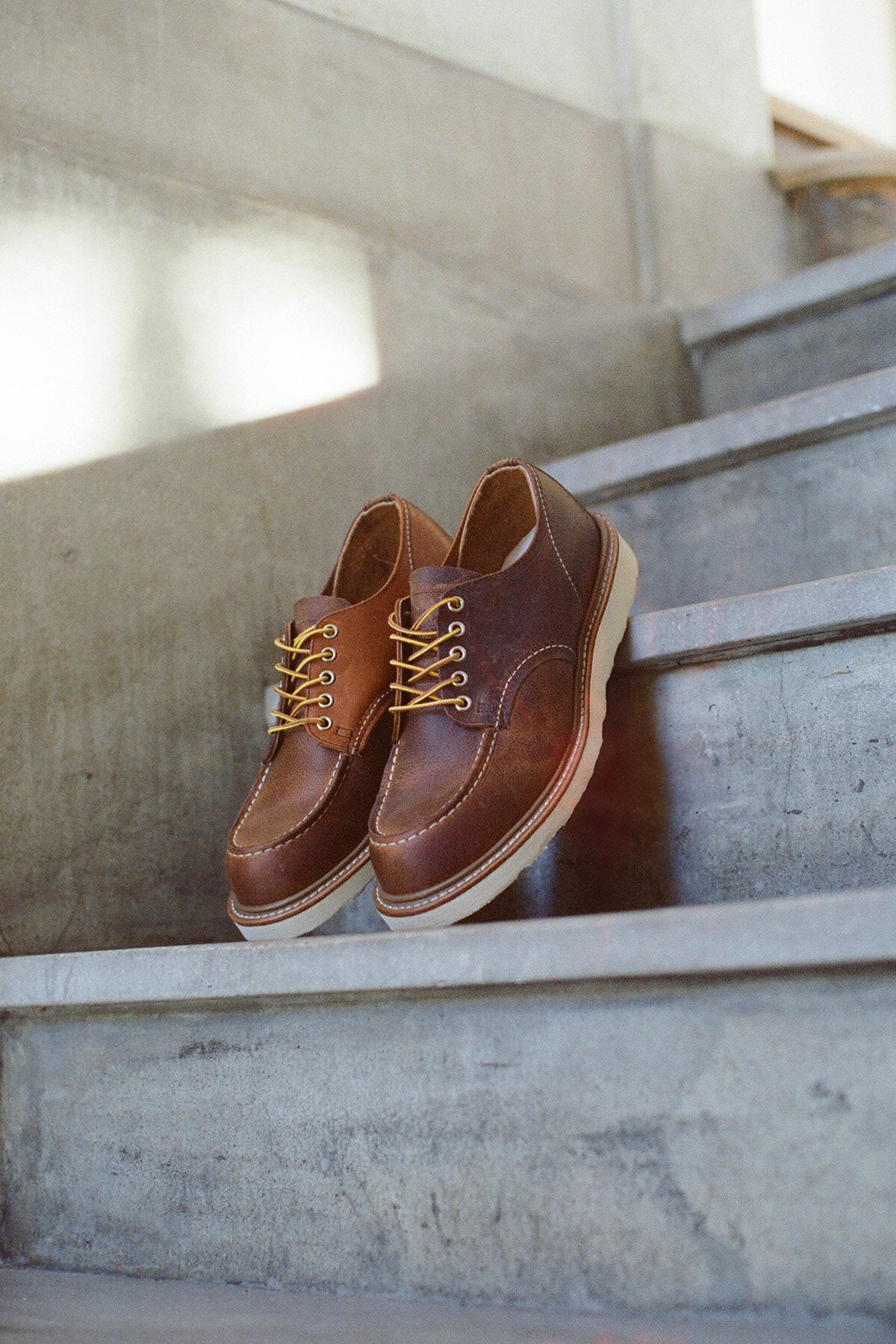 04603REDWING_COPPERRE_WPS_11_1
