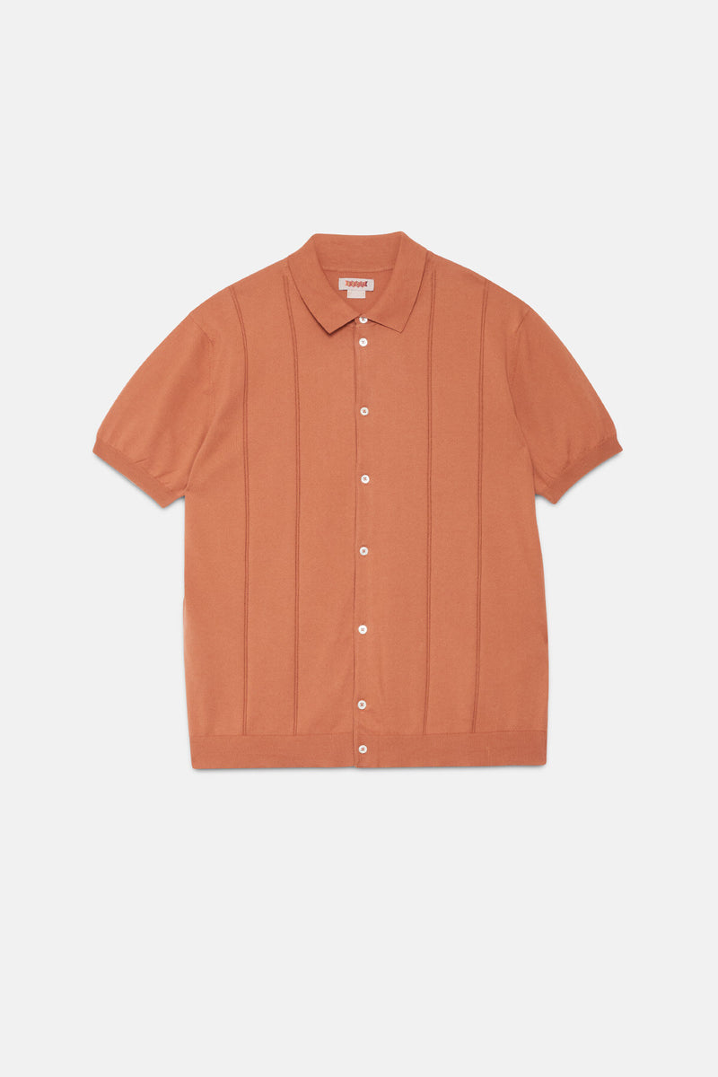 Horatio Polo
