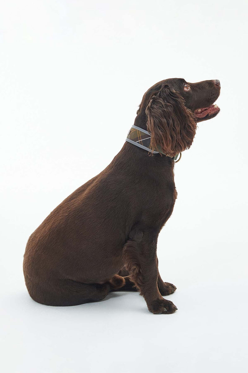 Reflective Tartan Comfort Collar