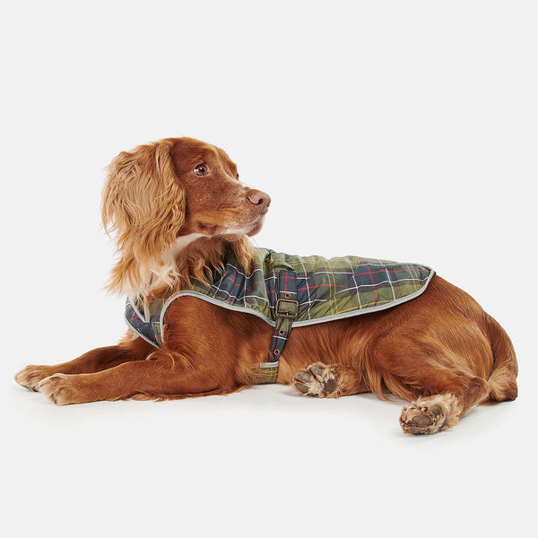 Tartan Waterproof Dog Coat Classic by Barbour | Men | WP Store