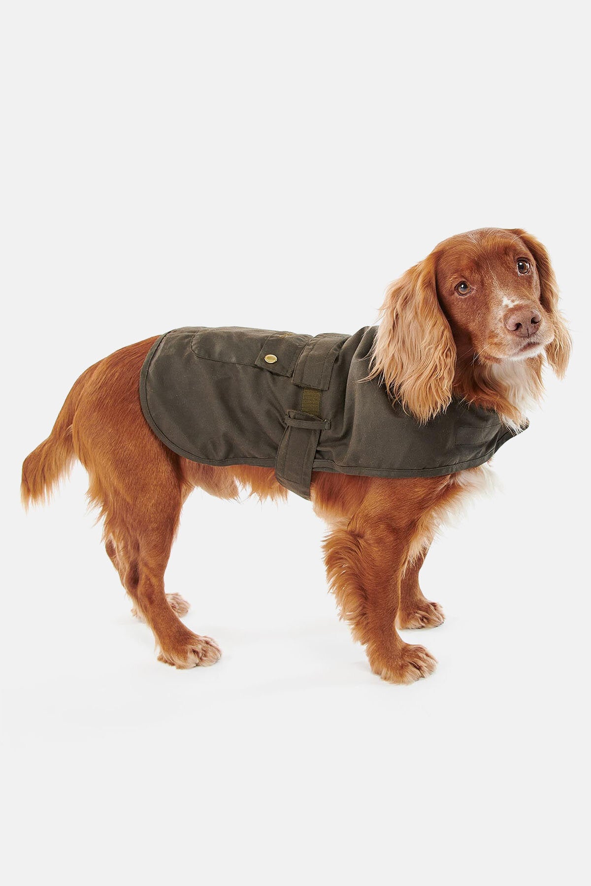 2 in 1 Wax Dog Coat Olive by Barbour | Men | WP Store