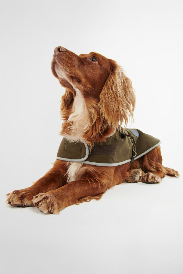 Cappottino per cani impermeabile