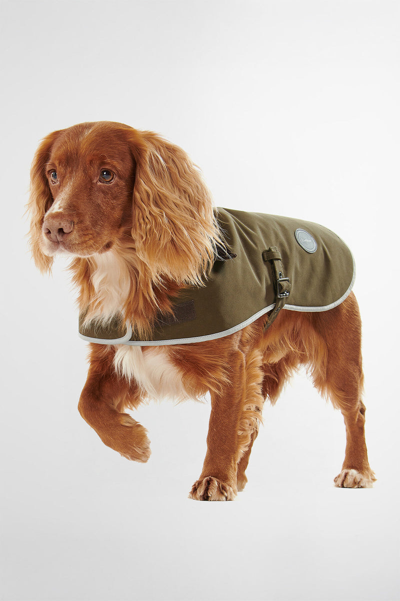 Cappottino per cani impermeabile