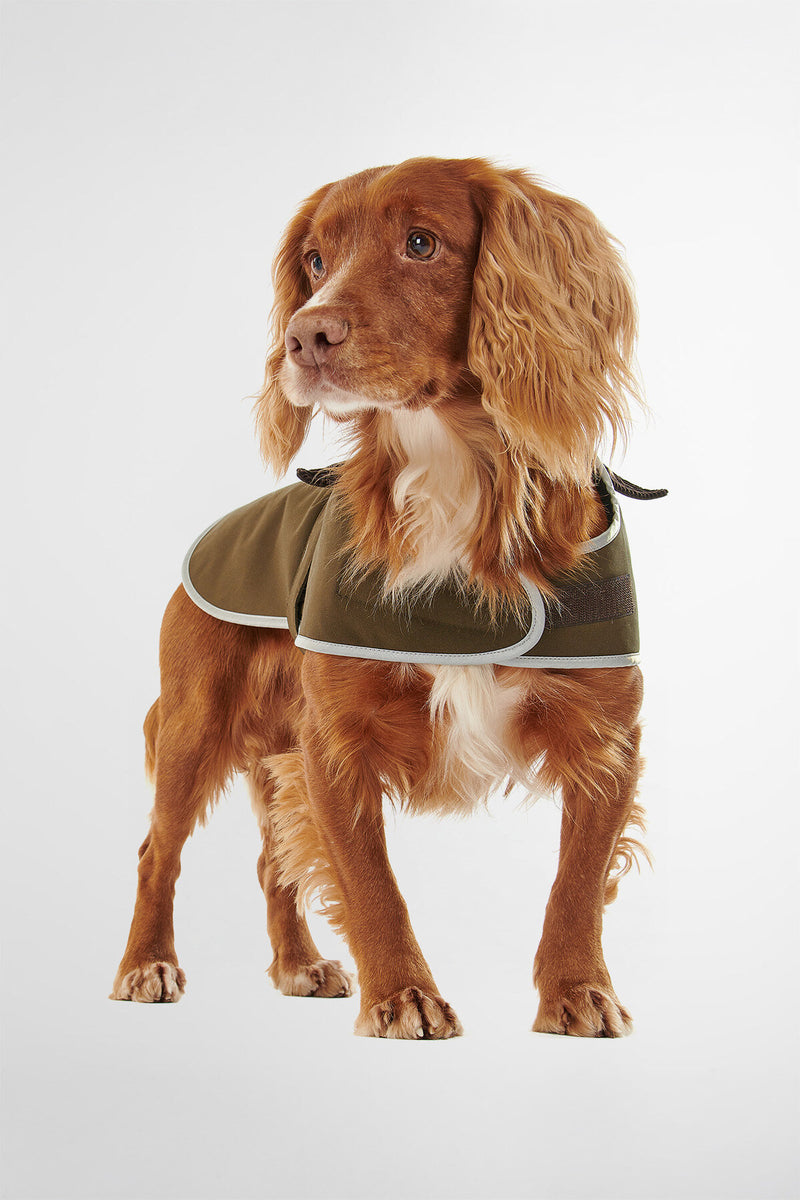 Cappottino per cani impermeabile