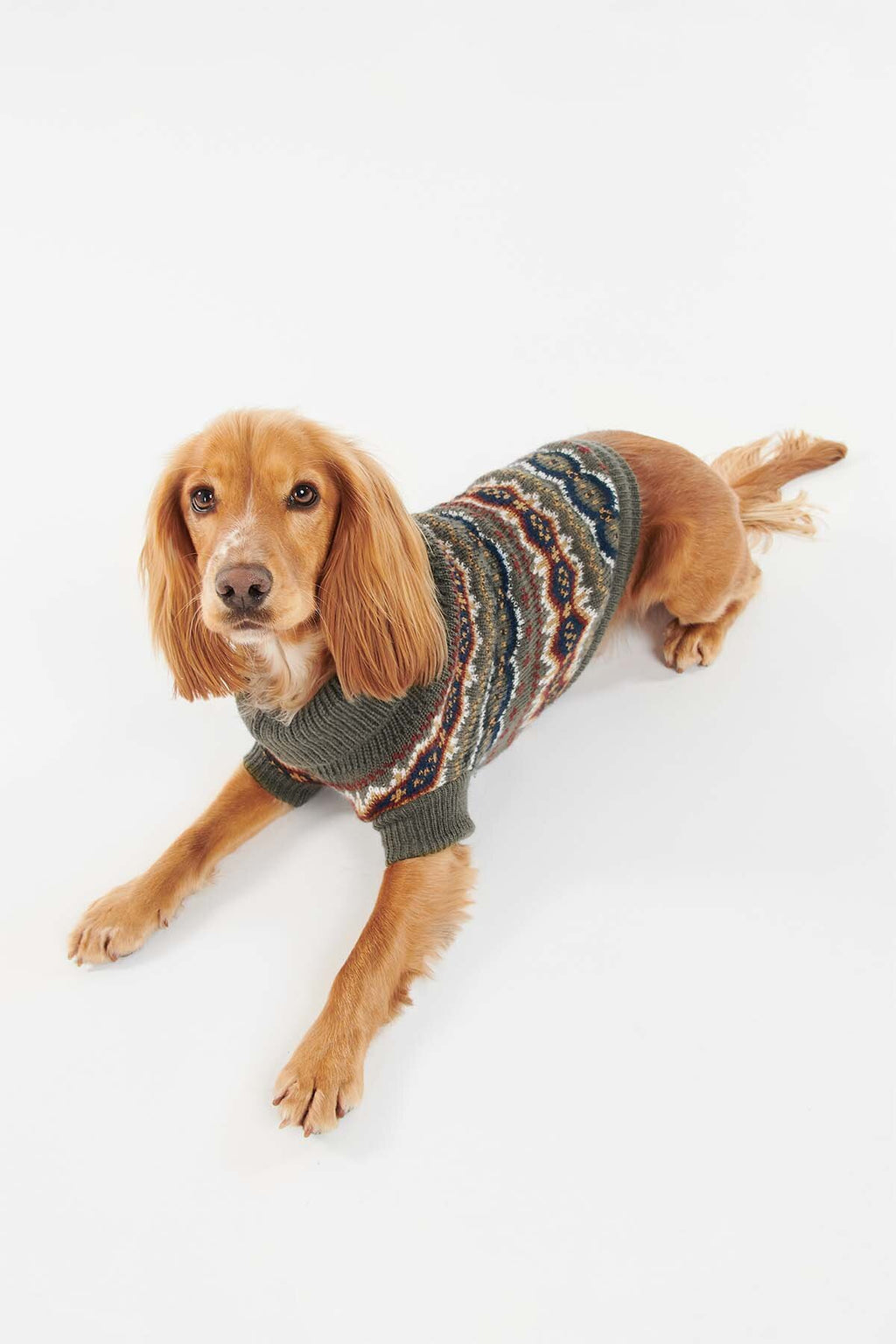 Case Fairisle Dog Jumper Olive by Barbour Men WP Store