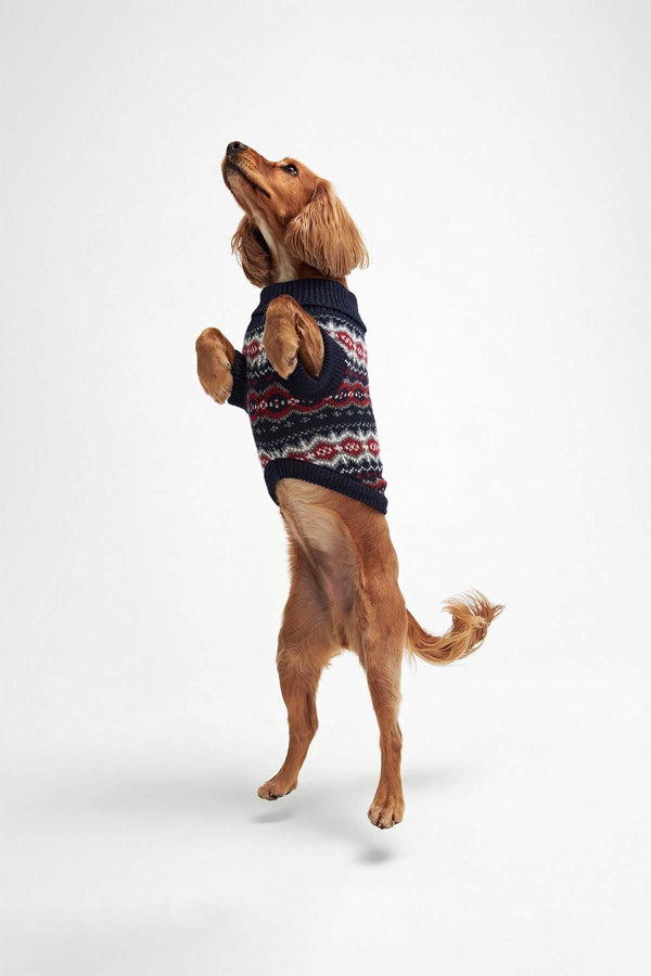 Case Fairisle Dog Jumper