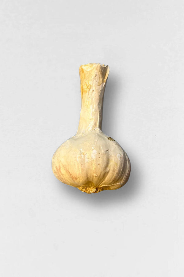 Replica in ceramica smaltata all'aglio