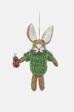 Bobby Hare & The Ladybird Decoration