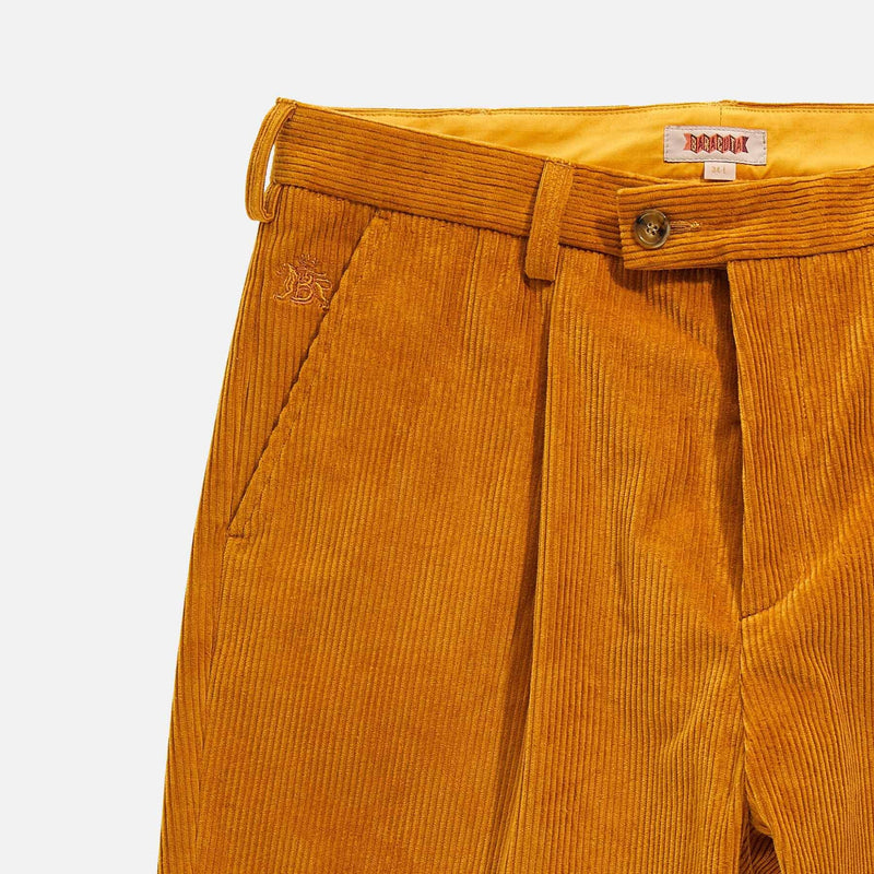 Pantalone in velluto