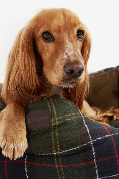 Barbour dog coat medium online