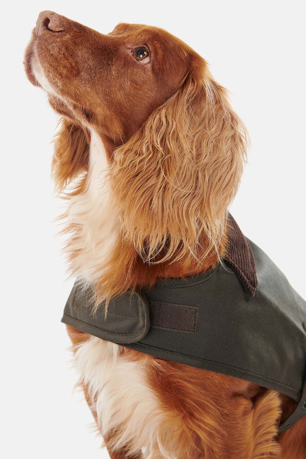 Wax dog coat