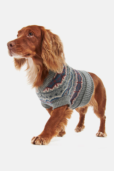 Barbour for Dogs - Collection | WP Store