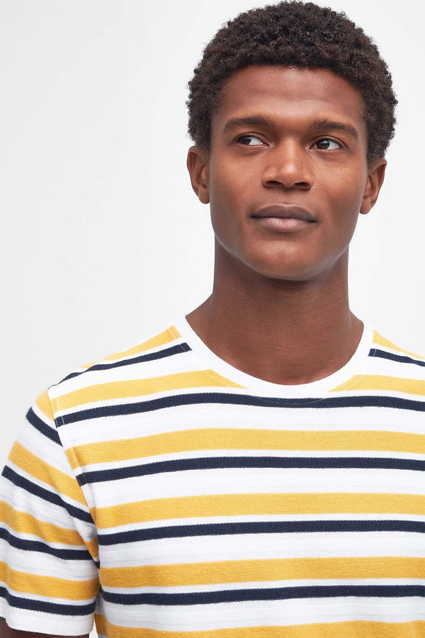 Whitwell Striped T-Shirt